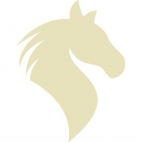 426459059_1071567140837522_1269057341327576871_n