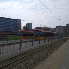 427124756_360004016837697_6873447069126413359_n