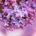 428490612_122096063204235122_3598493821085651767_n