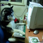 Psy też używaja komputerów