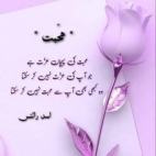 452126238_122097972998432822_5342034607433189697_n