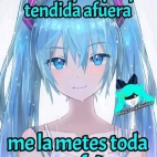 442411882_444274241620966_8645112874751822368_n