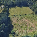 421854993_349586521212780_2915757159604514534_n