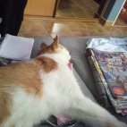 348588282_1734122197044878_8787572570298113960_n