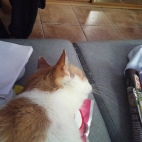 347604246_936250644350326_4267510599553338054_n