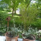 347589863_188535387050931_3660106588471093592_n