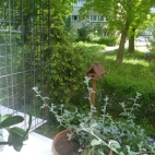 347559362_981453153042850_5069000259035831569_n