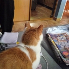 347553027_1043425969967541_5921064430604669966_n