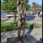 347408300_783411590101171_2471195285084854132_n