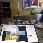 347272254_991679068491229_1983632779718225720_n