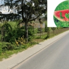 419341815_345855901585842_9139711994908122713_n