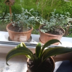 348424115_1568232467034569_6230479205900139700_n