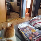 347437508_184378954192239_8596298672701519045_n