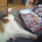 348585315_2242668295927966_2068634713575456946_n