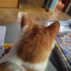 348461192_1251254618829670_5198631278557101056_n