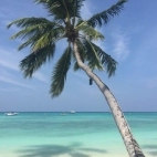 452482053_406286955795204_4478386546442259292_n