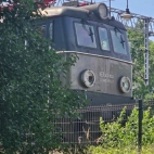 450708147_890935223066208_654596475133046534_n