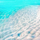 452281182_406285829128650_5958527189793729025_n