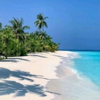 452247418_406285222462044_3533180404562994741_n