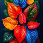 453032978_10159641077987084_1795472284097449593_n