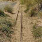 452982674_10226135730923319_4568393437148097822_n