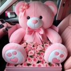 453049443_818881610353847_8543417949359996294_n