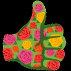 338771565_907827667095860_5467054704119217931_n