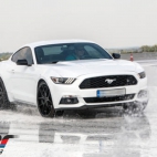 426107123_120206802722310185_351529118928417660_n