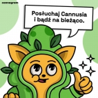 440597667_120211790809980749_8227614346398879497_n