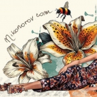 452486435_120211502691600635_6777274645401876532_n