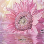 453598294_449094304793837_244653494306360587_n