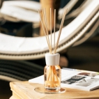 453850147_120210936952680253_2398955741180899595_n