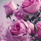 453898171_511496017986612_2069551027390424822_n