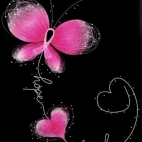 453901380_2384016325307725_6655283755676705959_n