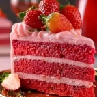 453970447_122110355516405780_4262283145083030401_n