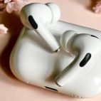 454126435_120211200299710770_3407711540149704952_n