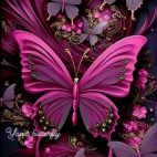 454189957_2384021831973841_7608876754515019753_n