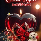 454230487_1010741907395478_494520386601910562_n