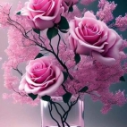 454234696_511496027986611_6457120661830864115_n