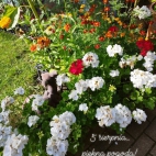 454261325_8745813378768305_8624924870469155832_n