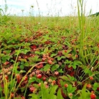 454290070_122176201748203223_3461591050493269214_n