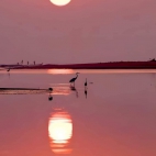 454307903_2384021648640526_1062888227693523883_n