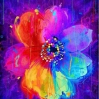 454319365_10159670710282084_4307389235331046451_n