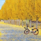 454324572_122116481444388515_1587739201280296859_n