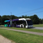 454407116_2759747434175750_200003134116126461_n