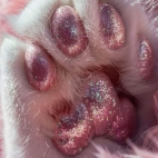 454407423_2384021558640535_4170170618178004202_n