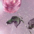 454418622_2384021485307209_1125808187124696659_n