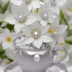 454853567_1708505676566063_3943036117632515217_n