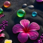 454899300_2330046250670441_8207693085193893794_n