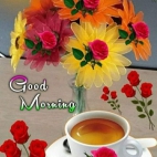 455326986_3964573707103968_887139709431006936_n